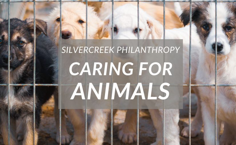 6 Organizations Making a Difference in Idaho