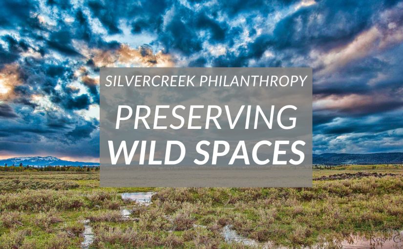 Preserving Idaho’s Wild Spaces: Land and Wilderness Nonprofits to Support This Spring