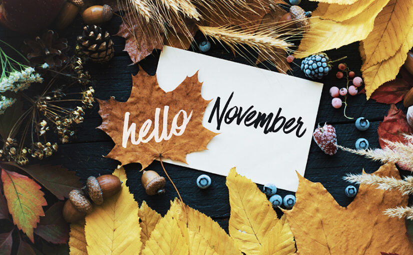 NOV 2025 Events